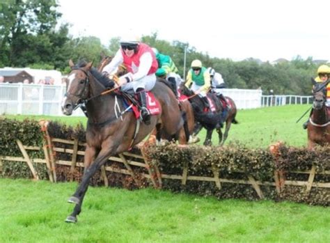 tips for listowel races today|Listowel Racing Tips .